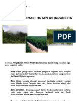 Formasi Hutan Di Indonesia