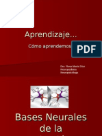Bases Neurales 