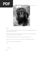 Verdade, Látego Do Conhecimento