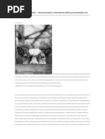 Uma Ode à Curiosidade