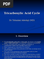 9 Tca Cycle