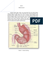 REVISI MAKALAH Farmakologi Lambung