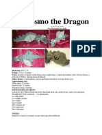 Cosmo The Dragon: For Personal Use Only