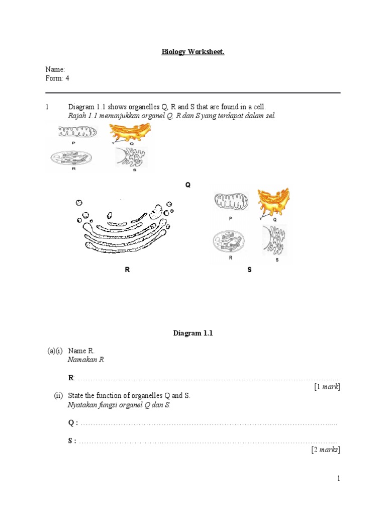 Biology Worksheet | PDF