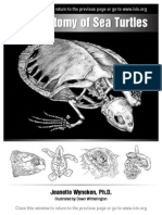 Wyneken The Anatomy of Sea Turtle PDF