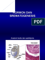 Hormon Dan Spermatogenesis