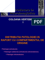 Patologie Degenerativa Discala Si Vertebrala
