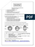 2º - Guía de Estudio Mitosis