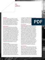 1principios Rectores Del Acto Analitico E Laurent PDF