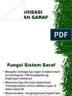 Organisasi Susunan Saraf