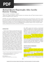 Skeletal Muscle Hypertrophy After Aerobic Exercise Training