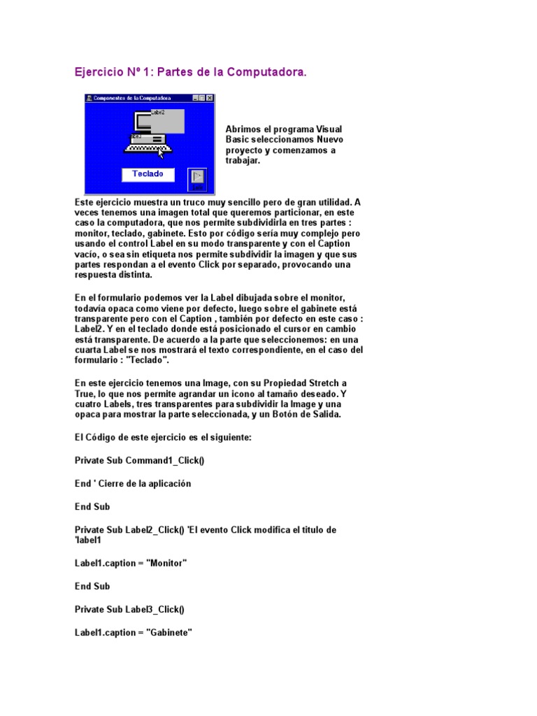 Ejercicios Visual Basic | PDF | Navegador web | Archivo de computadora