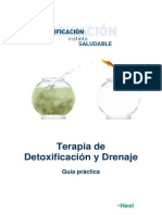 Dossier Detoxificacion