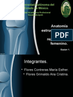 Tema 1. Anatomías Del Aparato Reproductor Femenino.