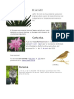 Aves y Flor Nacional de Los Paises Centro Americanos.