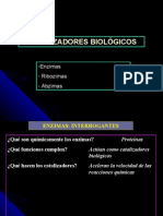 CatalizadoresBiologicos Ribozimas