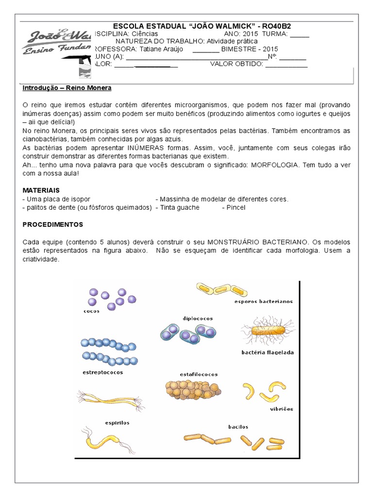 Atividade Prática - Reino Monera | PDF | Ciências Sociais