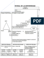 Historia Natural de La Enfermedad