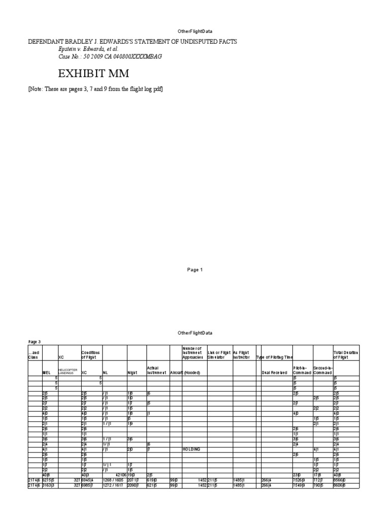 Jeffrey Epstein Flight Logs Other Flight Data