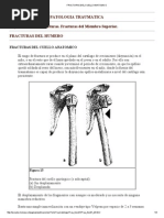 Fracturas Del Cuello Anatomico