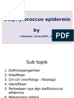 Stapilococus Epidermis p2