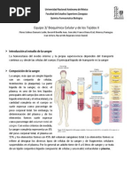 Sangre y Celulas Sanguineas (1a Parte)