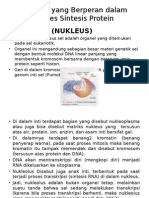 Organel Yang Berperan Dalam Proses Sintesis Protein