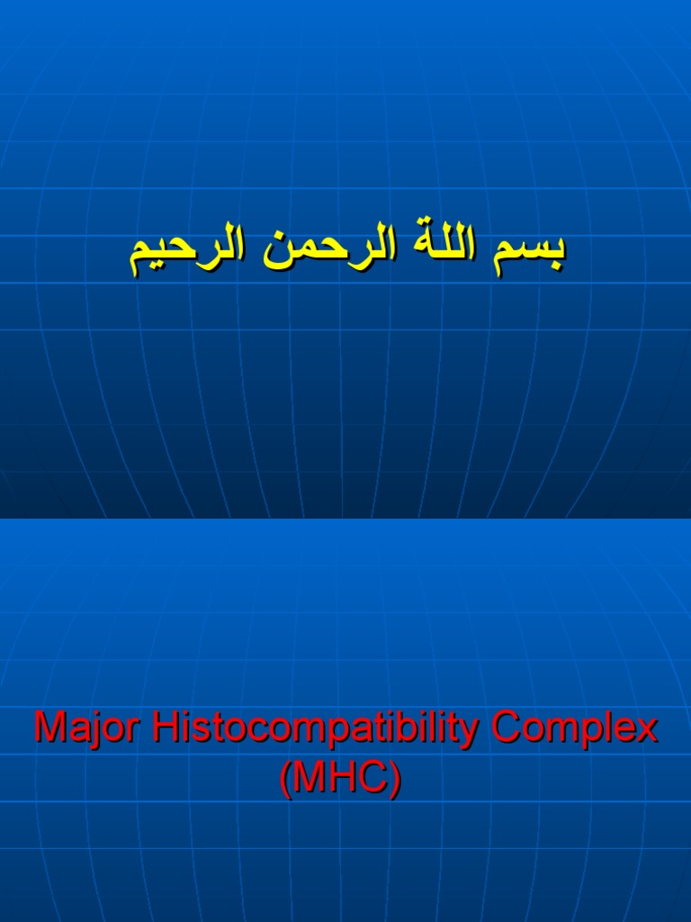 MHC and Graft Rejection PDF Major Complex Mhc