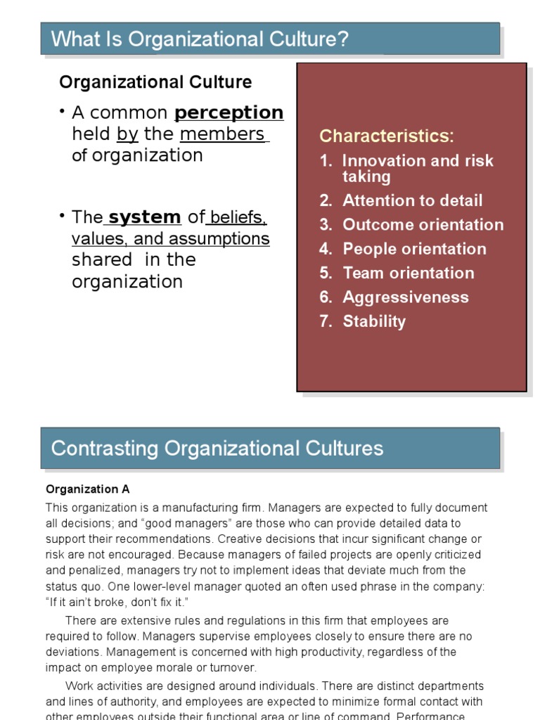 Understanding Organizational Culture Dynamics | PDF | Socialization ...