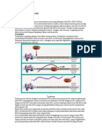 Sintesis Protein