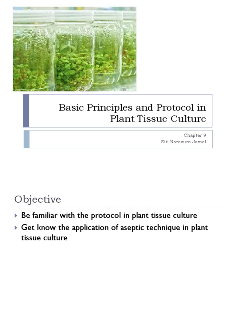 Plant Tissue Culture: Principles & Protocols | PDF | Growth Medium ...