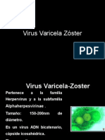 Virus Varicela Zoster