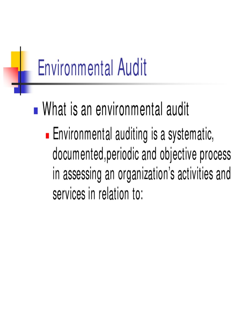 Environmental Audit PDF Audit Auditor's Report