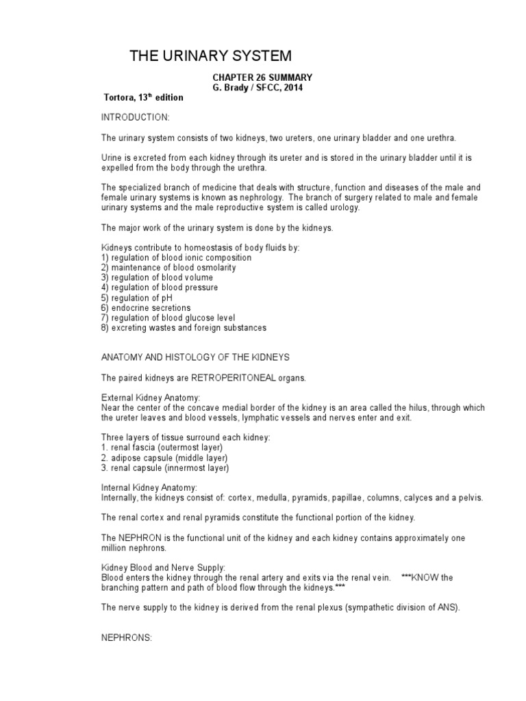 Urinary System Summary Ch 26 2014 | Kidney | Urinary System