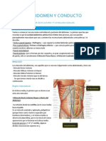 Abdomen y Conducto Inguinal