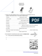 30 Ratatouille - Passive Voice