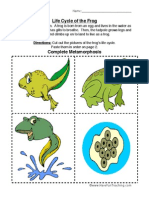 Frog Life Cycle Worksheet