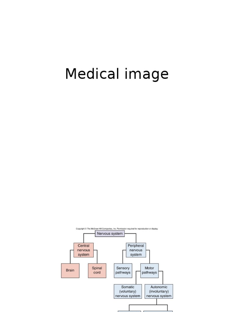 Medical Imaging Techniques Overview | PDF | Self-Improvement
