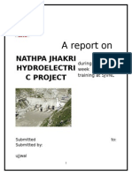 HYDROELECTRIC PROJECT.DOC