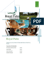 Royal Palm Services Analysis