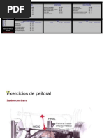 Tabela de Treino - LeandroTwin - Ricard