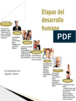 Panel Desarrollo Humano