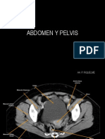 Ppt Pelvis.