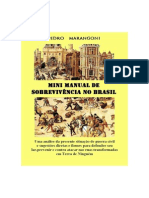 Pedro Marangoni - Mini Manual de Sobrevivência No Brasil