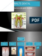 Esmalte Dental 