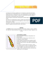 Manual de Aprendizaje de Lectura de La Baraja Espanola 140126134936 Phpapp01