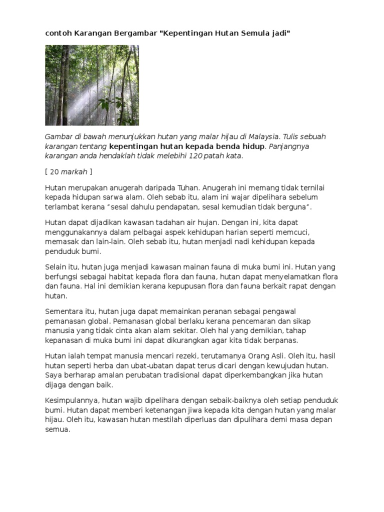 contoh Karangan Bergambar 
