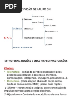 Divisão Geral Do Snc e Snp
