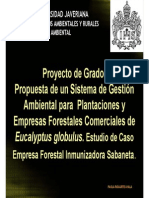 Propuesta Ambental Casos 2015-1 (1)