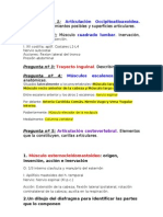 Modelo Exame 2n Parcial LOCOMOTOR